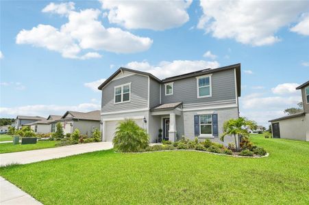 New construction Single-Family house 11531 Moonsail Drive, Parrish, FL 34219 - photo 2 2