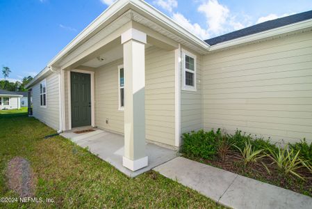 New construction Single-Family house 11616 Pacific Dogwood Court, Jacksonville, FL 32256 - photo 5 5