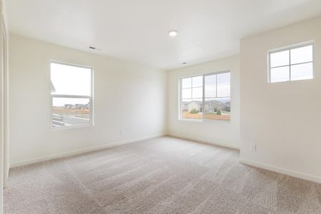 New construction Single-Family house 14065 Alpine Phlox Ln, Parker, CO 80134 HOLCOMBE- photo 26 26