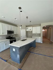 New construction Single-Family house 205 Balsam Drive, Dallas, GA 30157 Amelia- photo 5 5