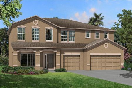 New construction Single-Family house 9508 Seagrass Port Pass, Wesley Chapel, FL 33545 - photo 0