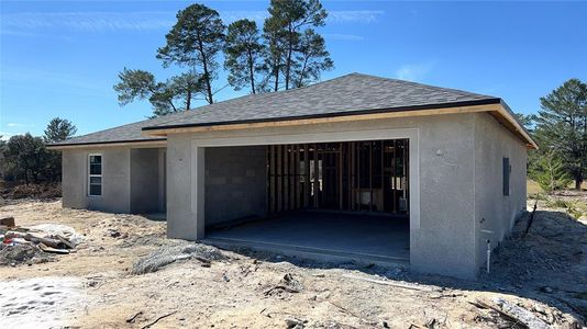 New construction Single-Family house 3918 Sw 161St Loop, Ocala, FL 34473 - photo 0 0
