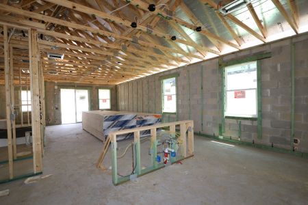 New construction Single-Family house 31843 Sapna Chime Drive, Wesley Chapel, FL 33545 Picasso- photo 64 64