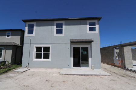 New construction Single-Family house 2501 Sunny Pebble Loop, Zephyrhills, FL 33540 Castellana- photo 4 4