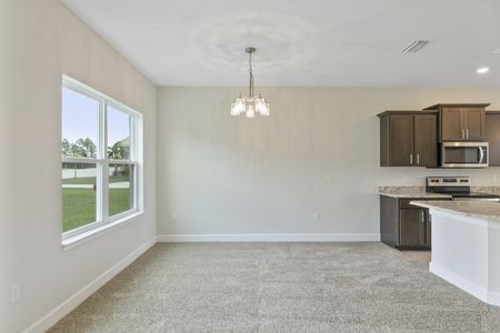 New construction Single-Family house 1012 Anchorage Street, Leesburg, FL 34748 - photo 19 19