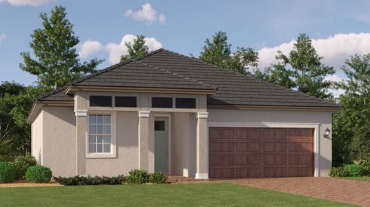New construction Single-Family house 10519 Banyan Breeze Blvd, Land O' Lakes, FL 34638 Morningtide II- photo 0