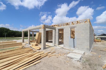 New construction Single-Family house 31810 Sapna Chime Drive, Wesley Chapel, FL 33545 Mira Lago- photo 33 33