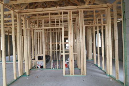 New construction Single-Family house 31843 Sapna Chime Drive, Wesley Chapel, FL 33545 Picasso- photo 15 15
