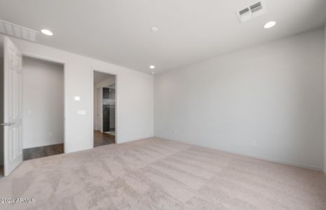 New construction Single-Family house 17610 W Windsor Boulevard, Litchfield Park, AZ 85340 - photo 16 16