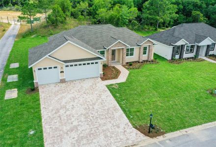 New construction Single-Family house 6436 Sw 180Th Circle, Dunnellon, FL 34432 - photo 46 46