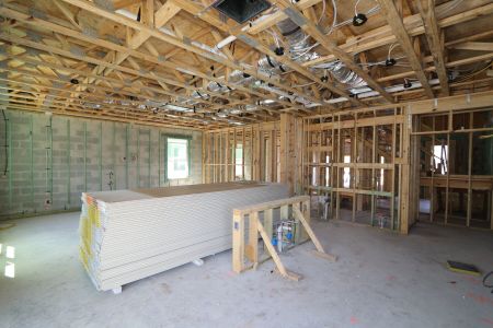 New construction Single-Family house 2852 Misty Marble Drive, Zephyrhills, FL 33540 Castellana- photo 78 78