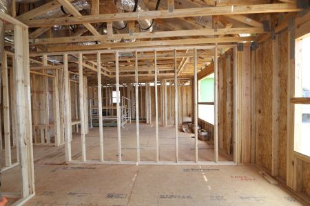 New construction Single-Family house 2530 Sunny Pebble Loop, Zephyrhills, FL 33540 Salinas- photo 30 30