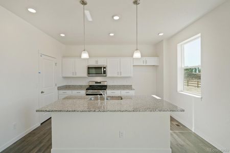 New construction Single-Family house 113 62Nd Avenue, Greeley, CO 80634 PENDLETON- photo 13 13