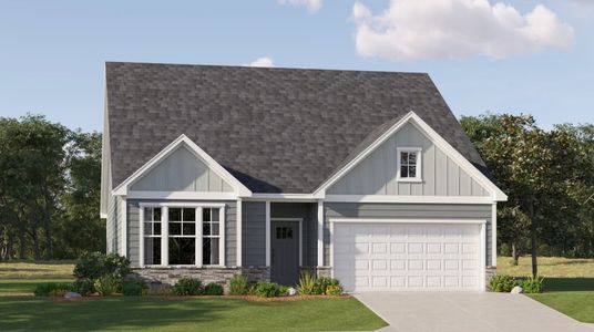 New construction Single-Family house 82 Airmont Drive, Sharpsburg, GA 30277 Newport- photo 0