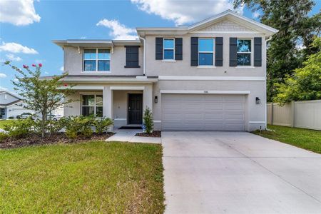 New construction Single-Family house 11136 Se 69Th Terrace, Belleview, FL 34420 - photo 4 4