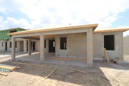 New construction Single-Family house 31843 Sapna Chime Drive, Wesley Chapel, FL 33545 Picasso- photo 12 12