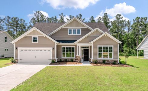 New construction Single-Family house 176 Huguenot Trail, Huger, SC 29450 - photo 0