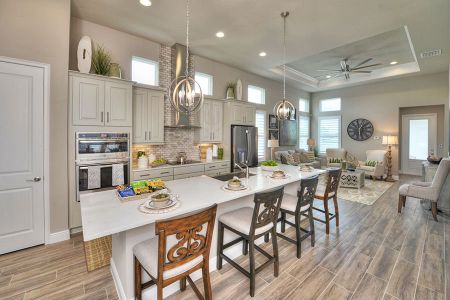 Bexley by ICI Homes in Land O' Lakes - photo 28 28