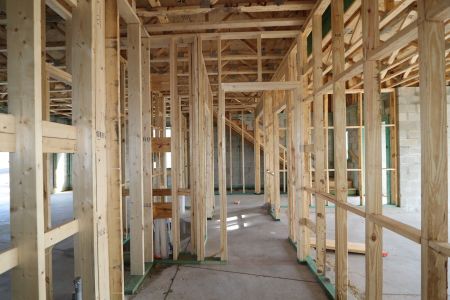 New construction Single-Family house 5254 Currant Street, Lakeland, FL 33811 Marina- photo 13 13