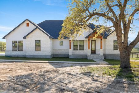 New construction Single-Family house 237 Lakeview Cir, La Vernia, TX 78121 - photo 4 4