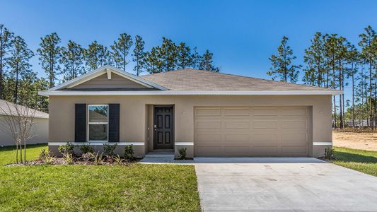 New construction Single-Family house Dakota, 715 West Rexford Drive, Beverly Hills, FL 34465 - photo