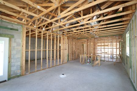 New construction Single-Family house 2885 Misty Marble Drive, Zephyrhills, FL 33540 Herrera- photo 31 31