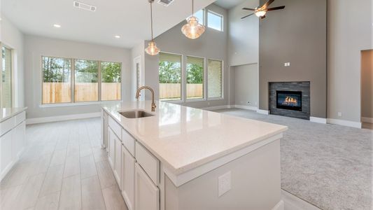 New construction Single-Family house 105 Sweeping Valley Drive, Montgomery, TX 77316 - photo 10 10