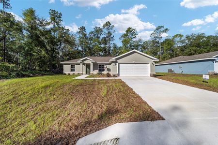 New construction Single-Family house 871 W Madison Place, Citrus Springs, FL 34434 - photo 3 3