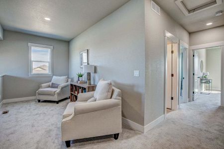 New construction Townhouse house 6248 Vernazza Way, Windsor, CO 80550 - photo 88 88