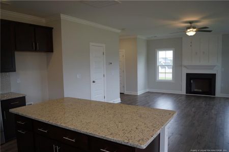 New construction Single-Family house 103 Grinnel Loop, Sanford, NC 27332 - photo 9 9