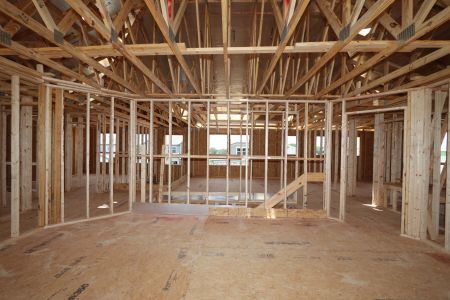 New construction Single-Family house 32556 Sapna Chime Drive, Wesley Chapel, FL 33545 Dali- photo 31 31