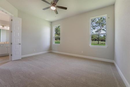 New construction Single-Family house 105 Black Kite Court, Cedar Creek, TX 78612 2391- photo 14 14