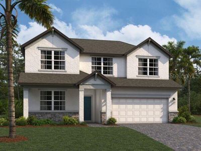 New construction Single-Family house 2530 Sunny Pebble Loop, Zephyrhills, FL 33540 Salinas- photo 0 0