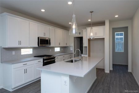 New construction Single-Family house 1787 Water Birch Way, Castle Rock, CO 80108 - photo 7 7