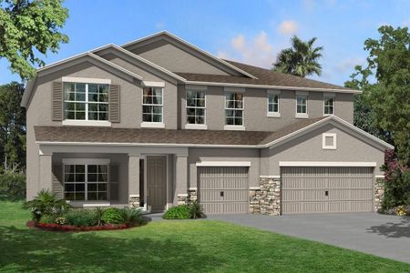 New construction Single-Family house Santina II, 10805 Rolling Moss Road, Tampa, FL 33647 - photo