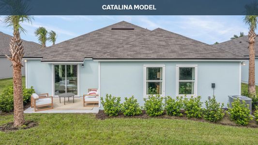 New construction Single-Family house 110 Hulett Woods Rd, Palm Coast, FL 32137 CATALINA- photo 21 21