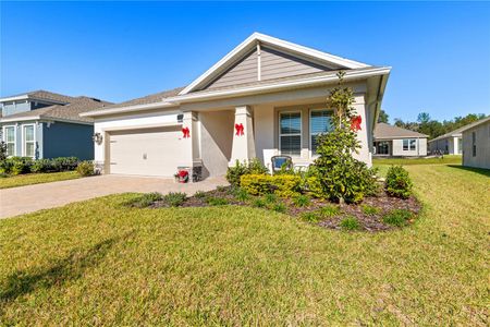 New construction Single-Family house 5271 Cappleman Loop, Brooksville, FL 34601 - photo 12 12