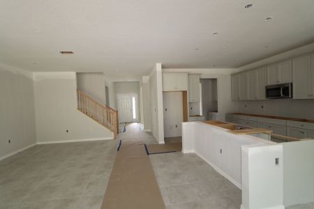 New construction Single-Family house 12114 Hilltop Farms Drive, Dade City, FL 33525 Alenza- photo 111 111