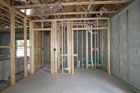 New construction Single-Family house 12383 Hilltop Farms Drive, Dade City, FL 33525 Malibu- photo 55 55