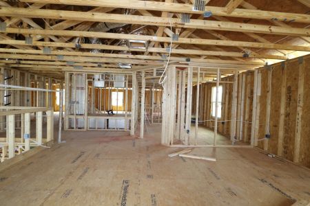 New construction Single-Family house 12383 Hilltop Farms Drive, Dade City, FL 33525 Malibu- photo 34 34