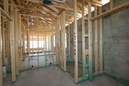 New construction Single-Family house 31843 Sapna Chime Drive, Wesley Chapel, FL 33545 Picasso- photo 51 51