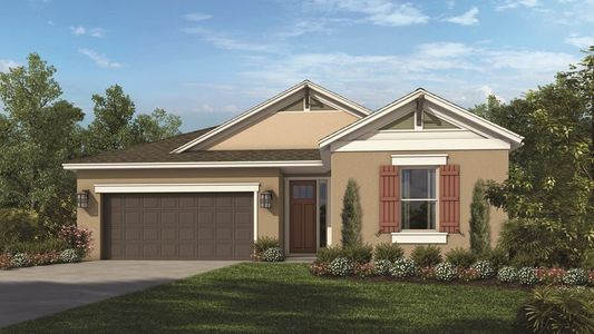New construction Single-Family house 33314 Castaway Loop, Wesley Chapel, FL 33543 - photo 25 25