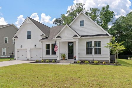 New construction Single-Family house 2044 Kings River Trail, Hollywood, SC 29449 - photo