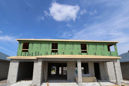 New construction Single-Family house 32556 Sapna Chime Drive, Wesley Chapel, FL 33545 Dali- photo 12 12