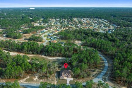 New construction Single-Family house 13215 Sw 85Th Circle, Ocala, FL 34473 - photo 38 38