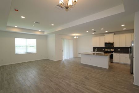 New construction Single-Family house 837 Hillshire Place, Spring Hill, FL 34609 Marque- photo 51 51