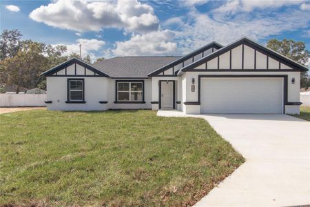 New construction Single-Family house 6 Hemlock Terrace Trace, Ocala, FL 34472 - photo 0