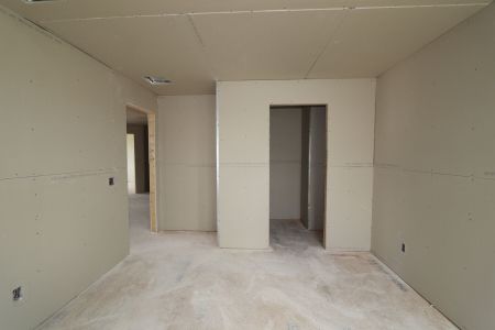 New construction Single-Family house 31835 Sapna Chime Drive, Wesley Chapel, FL 33545 Salinas- photo 47 47