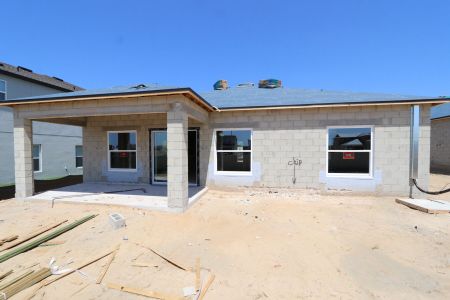 New construction Single-Family house 12165 Hilltop Farms Drive, Dade City, FL 33525 Sentinel- photo 38 38