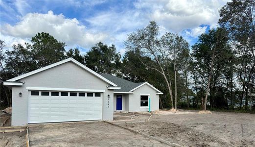 New construction Single-Family house 9449 Se 159Th Ln, Summerfield, FL 34491 - photo 1 1